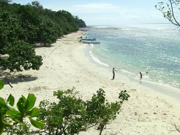 Pantai Singkil Karang Pakis