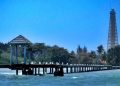 Pulau Biawak via infocirebon