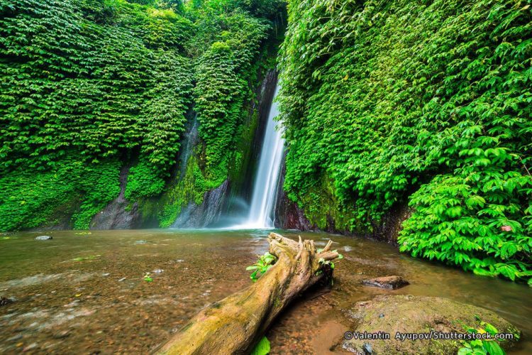 Air Terjun Melanting - 30 Air Terjun di Bali Terbaik & Terhits, Wisata Alam Instagramable