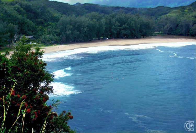 Kalihiwai Beach 23 Wisata Pantai di Hawaii Terbaik & Terpopuler, Favorit wisatawan