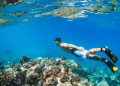 Snorkeling di Hawaii via Hawaiitravelwithkids