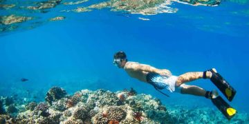 Snorkeling di Hawaii via Hawaiitravelwithkids