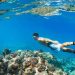Snorkeling di Hawaii via Hawaiitravelwithkids