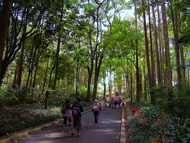 Taman Hutan Raya Juanda - tempat di Bandung