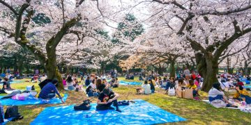 Yoyogi Park via Jrailpass