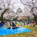 Yoyogi Park via Jrailpass