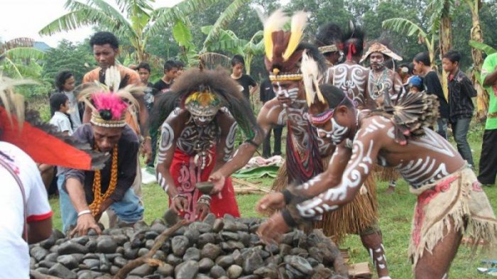 Bakar Batu Papua