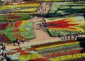 Floriade Flower Festival Australia