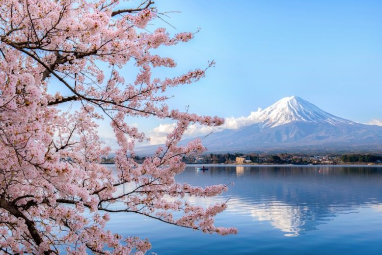 Fuji Five Lakes via Metropolisjapan