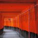 Lorong torii di Fushimi Inari Taisha via Infojepang