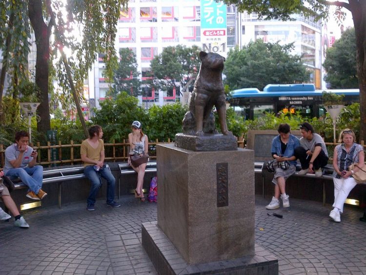 Patung Hachiko di depan Stasiun Shibuya via Detik