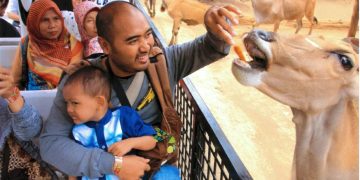 Zona Safari Farm via Buzzerbezz