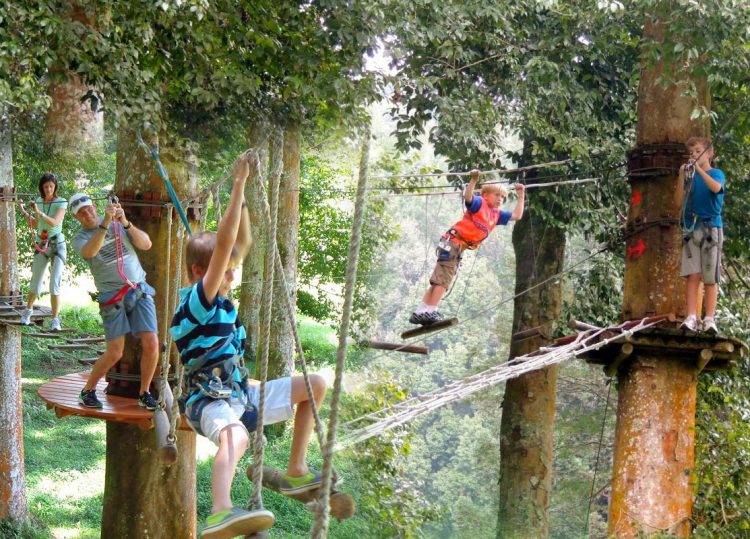 Anda juga bisa menikmati wahana Bali Treetop Adventure Park di kebun raya Bedugul.