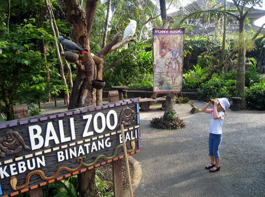 Bali Zoo Park 34 Tempat Wisata Anak di Bali, Bermain Seru Bersama Keluarga!