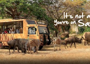 Liburan Seru di Bali Safari Marine Park