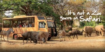 Liburan Seru di Bali Safari Marine Park