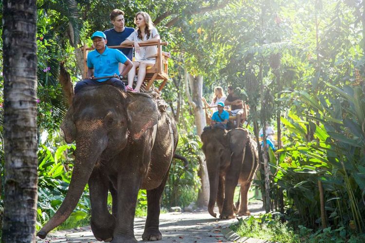Menaiki Gajah dan menikmati pemandangan tropis Bali