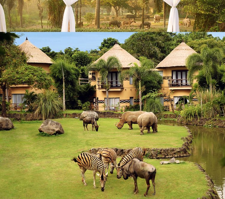 Penginapan Mara River Safari Lodge