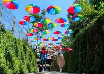 Taman Botani Sukorambi