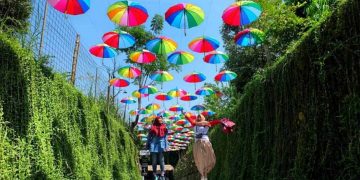 Taman Botani Sukorambi