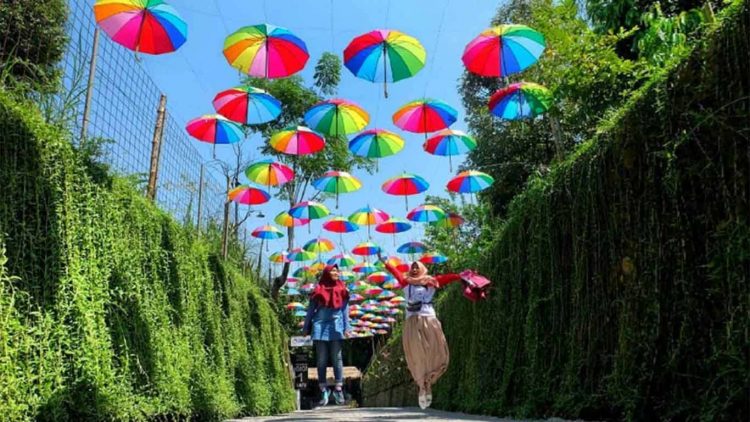 Taman Botani Sukorambi, Wahana, Harga Tiket, Fasilitas, Aktivitas Taman Botani Sukorambi, Wahana, Harga Tiket, Fasilitas, Aktivitas