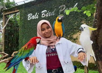 Taman Burung Bali Bird Park