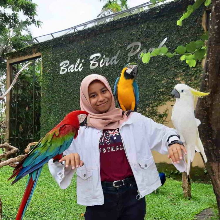 Taman Burung Bali Bird Park