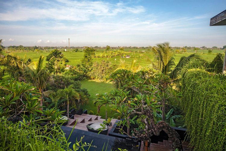 Villa Mana dengan Landscape Pemandangan Sawah