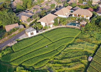 Villa dan Sawah di Umalas
