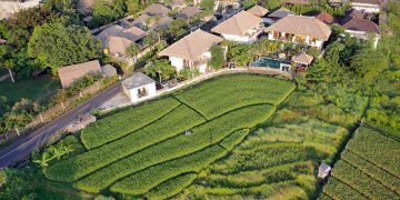 Villa dan Sawah di Umalas