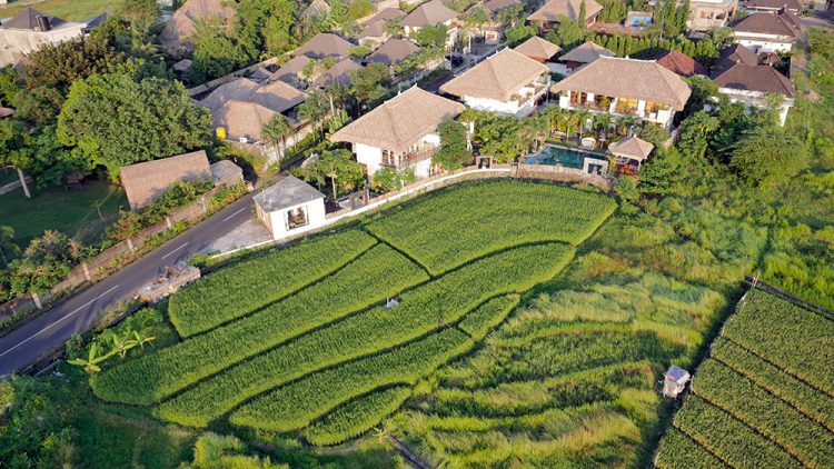 12 Villa di Umalas Fasilitas Mewah, Private Pool, Murah & Terbaik