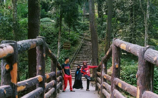 Jalur trekking menuju Air Terjun dibuat nyaman dan mudah bagi visitor – Madang Mol