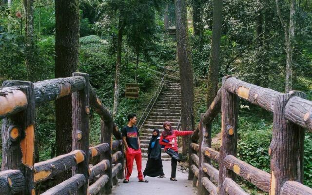 Jalur trekking menuju Air Terjun dibuat nyaman dan mudah bagi wisatawan – Madang Mol