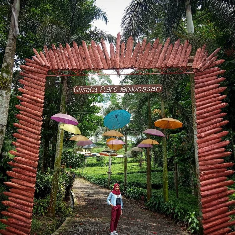 Wisata Agro Tanjungsati via Brisik