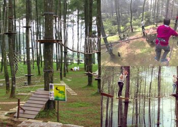 Bandung Treetop Adventure Park