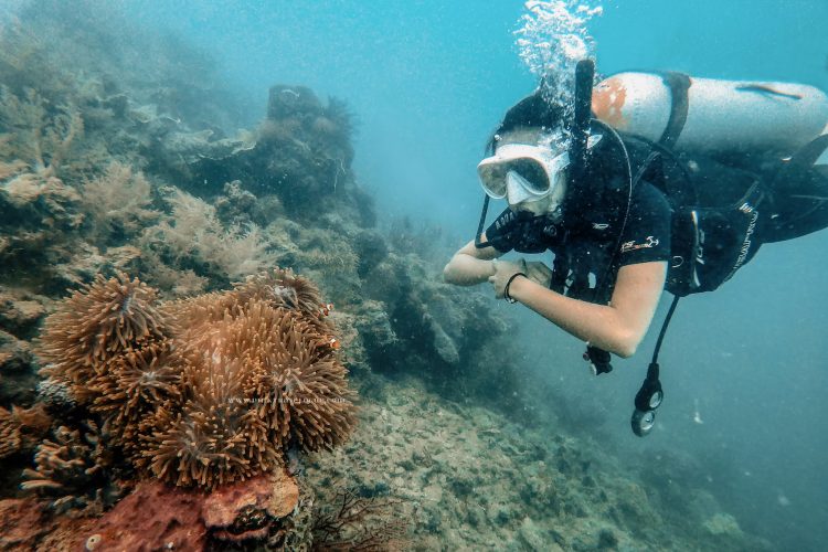 Scuba Diving Pulau Pramuka via Pinktravelgue