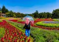 Taman Bunga Nusantara via Kompas