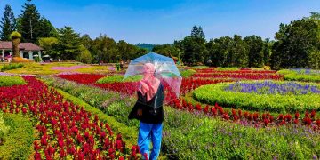 Taman Bunga Nusantara via Kompas