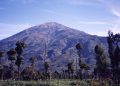 Gunung Merbabu Sisi Selatan