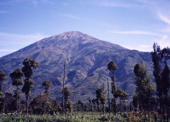 Gunung Merbabu Sisi Selatan