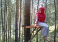 Hutan Pinus Jubel