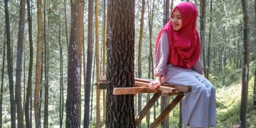 Hutan Pinus Jubel