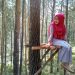 Hutan Pinus Jubel