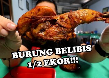 Olahan Burung Belibis  via Youtube