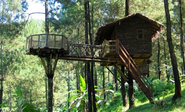 Rumah Hutan Serang