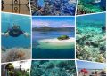 Snorkeling