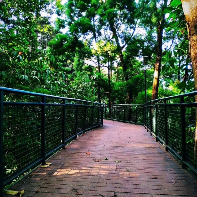 Taman Hutan Babakan Siliwangi via IG @budicloud