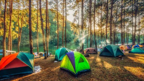 Camping Ground di kawasan Hutan Pinus