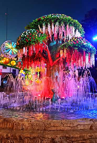 Dancing Water Fountain