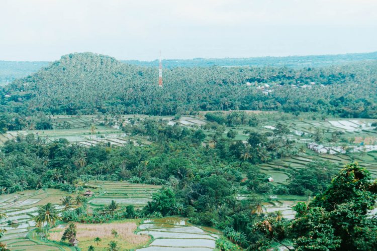 Hijaunya pemandangan dari Rumah Pohon Gangga Murmas via Lostpacker
